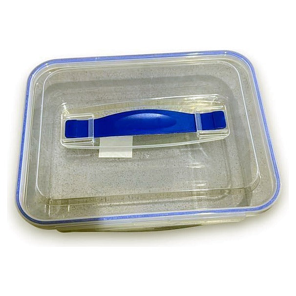 JJ53150 - CAJA DE PLÁSTICO CON TAPA Y ASA (96/1)