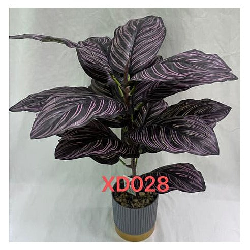 NW-SP2 - PLANTA DECORATIVA EN MACETA (72/1)