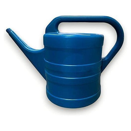 WJ65 -002 - REGADERA DE PLÁSTICO AZUL (15/1)