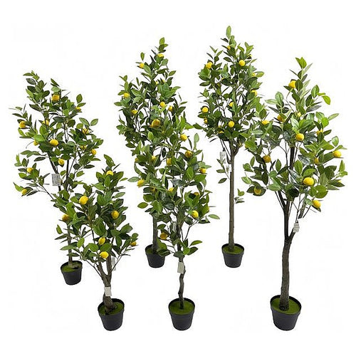 CF-CC05 - SET DE ÁRBOLES DE LIMÓN ARTIFICIALES (6/1)