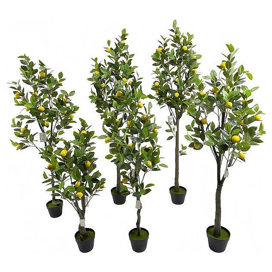 CF-CC05 - SET DE ÁRBOLES DE LIMÓN ARTIFICIALES (6/1)