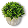 GY32277 - PLANTA ARTIFICIAL DECORATIVA EN MACETA (0320000000452/1)