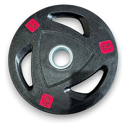 SG-HWP-3 - DISCO DE PESAS 25 LB (2/1)