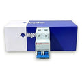 EL-AS2 - INTERRUPTOR TERMOMAGNÉTICO 2P 110V 63A (120/1)