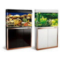 SG-NAE16 - ACUARIO CON MUEBLE 80*30*58 (1/1)