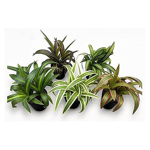 H-XWF21 - PLANTAS ARTIFICIALES DECORATIVAS (96/1)