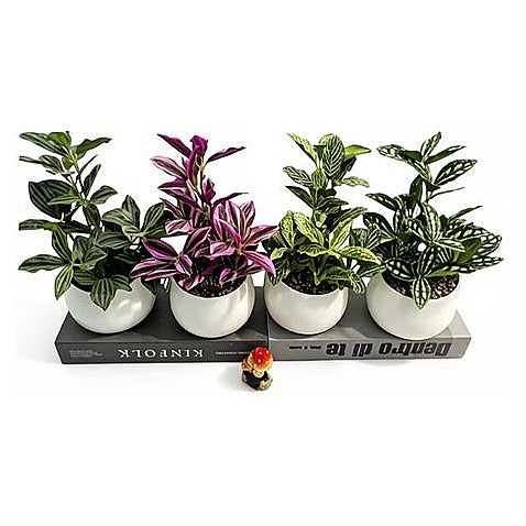 H-XWF22 - PLANTAS ARTIFICIALES EN MACETAS (120/1)