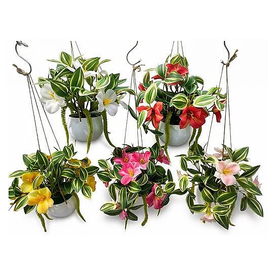 HG-SF1-10 - PLANTAS ARTIFICIALES COLGANTES (144/1)