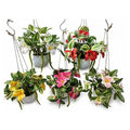 HG-SF1-10 - PLANTAS ARTIFICIALES COLGANTES (144/1)