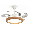 IP-GFL22 - VENTILADOR DE TECHO CON LUZ LED (1/1)