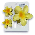 JJ51001 - SET DE PASADORES DE CABELLO FLOR (300/1)