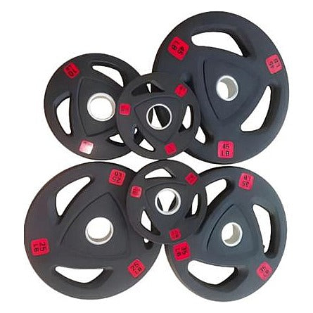 SG-HWP-2 - DISCO DE PESAS DE 10 LB (4/1)