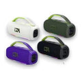DQ44079 - BOCINA PORTÁTIL 50W CON ASA (20/1)