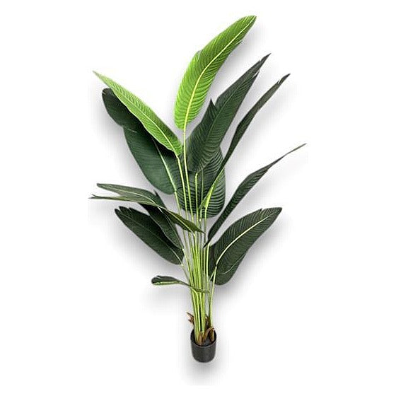 CF-EHF11 - PLANTA ARTIFICIAL 1.8 M (6/1)