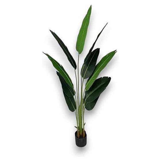 CF-EHF10 - PLANTA DECORATIVA ARTIFICIAL 1.6M (6/1)
