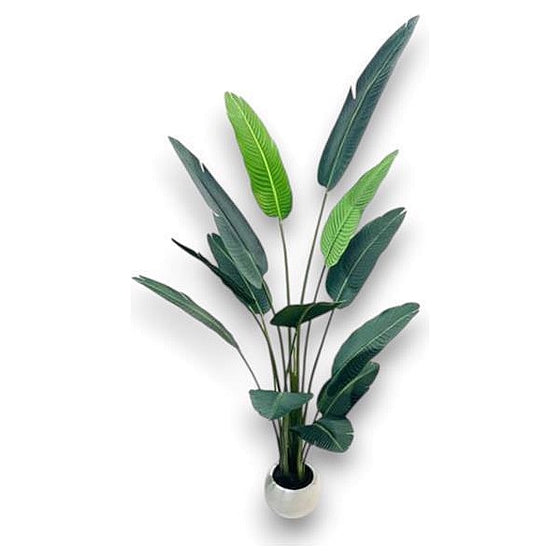 CF-EHF12 - PLANTA DECORATIVA ARTIFICIAL 2 M (6/1)
