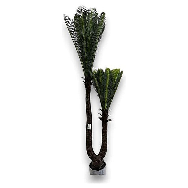 CF-ZYF08 - PALMA DECORATIVA ARTIFICIAL (6/1)