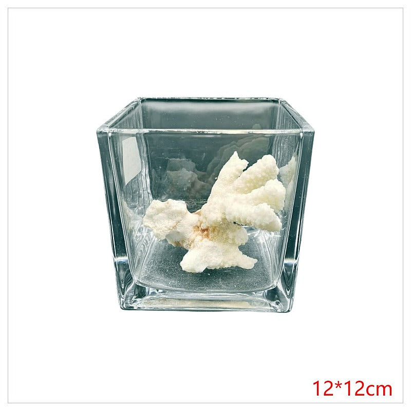 HG-FBN20 - FLORERO DE VIDRIO CUADRADO 12*12 CM (24/1)