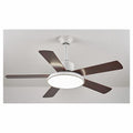 IP-GF001 - VENTILADOR DE TECHO CON LUZ LED (1/1)