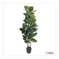 CC-AF-12 - PLANTA ARTIFICIAL HOJA DE VIOLÍN 1.45 M (4/1)