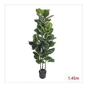 CC-AF-12 - PLANTA ARTIFICIAL HOJA DE VIOLÍN 1.45 M (4/1)