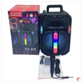 BTR-G11 - PARLANTE KARAOKE PORTÁTIL 8" (8/1)