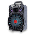 BTR-ZQ9 - ALTAVOZ BLUETOOTH PORTÁTIL 8 PULGADAS (12/1)