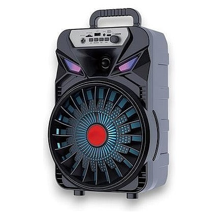 BTR-ZQ9 - ALTAVOZ BLUETOOTH PORTÁTIL 8 PULGADAS (12/1)
