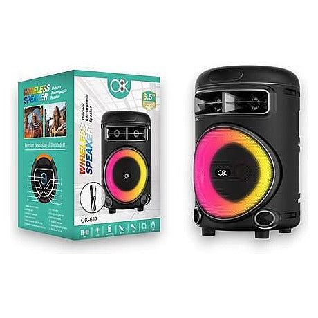 EP-BTG23 - ALTAVOZ BLUETOOTH DE 6,5 PULGADAS (12/1)