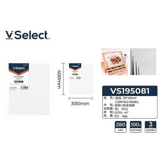 VS195081 - LIENZO PARA PINTAR 30X40 CM (30/1)