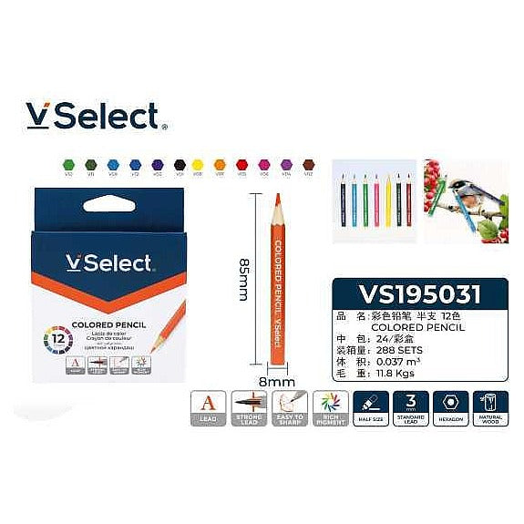VS195031 - CAJA DE LÁPICES DE COLORES 12 UNIDADES (288/1)