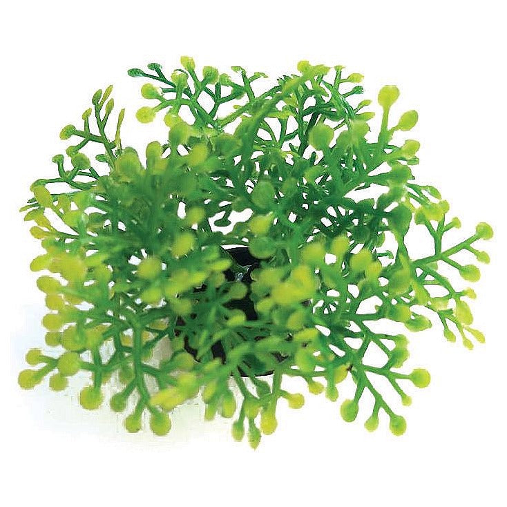 SPP175 - PLANTA ARTIFICIAL DECORATIVA (1000/1)