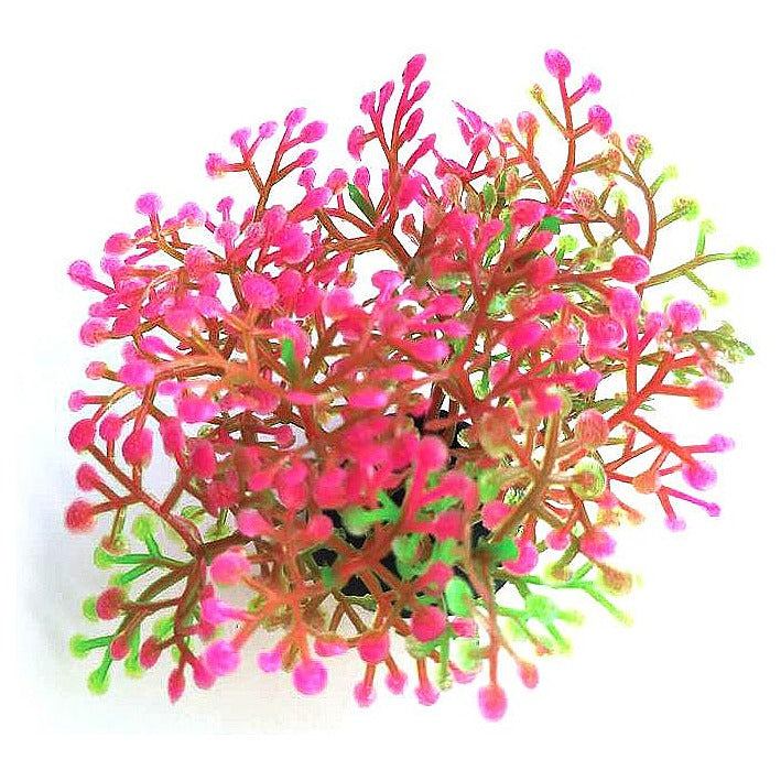 SPP179 - PLANTA ARTIFICIAL DECORATIVA (1000/1)