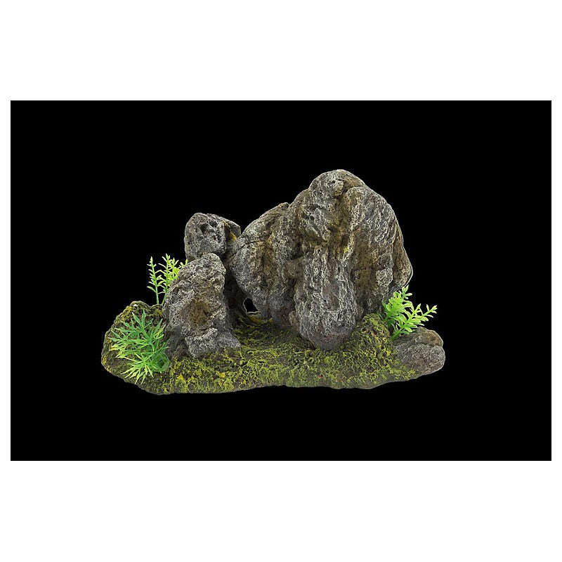 SPP207 - DECORACIÓN DE ACUARIO CON ROCAS Y PLANTAS (24/1)