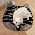 ALFOMBRA HG-QSM24 (50/1)