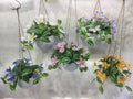 FLORES HG-HHF15 (144/1)