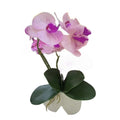 FLORES HG-HHF29 (72/1)