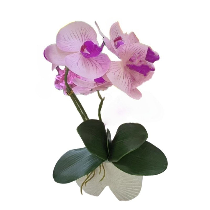 FLORES HG-HHF29 (72/1)