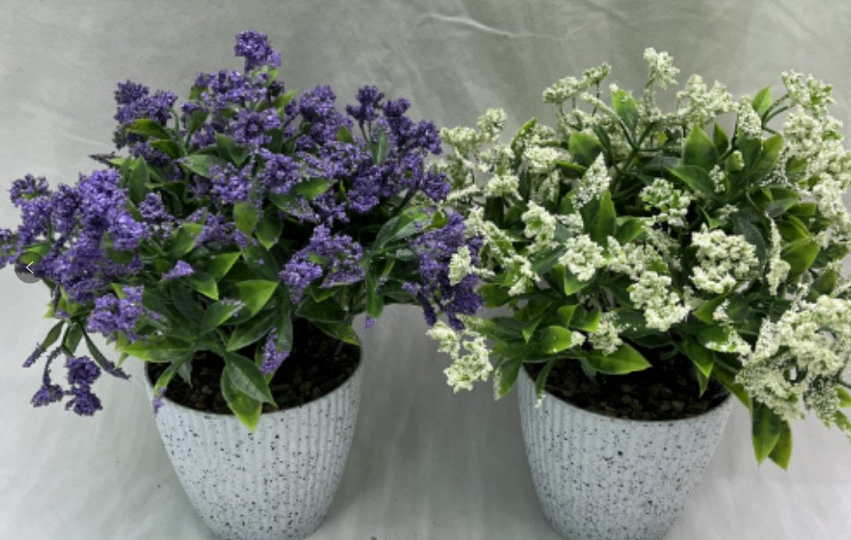 FLORES KRF34 (300/1)