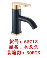 66713 grifo