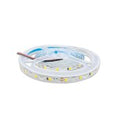 TIRA LED IP-DD-S1 (100/1)