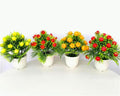 PLANTA HG-HHF19 (144/1)