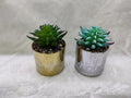 PLANTA HG-SP1-26 (72/1)