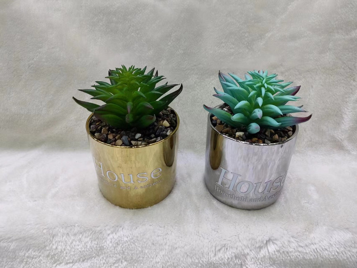 PLANTA HG-SP1-26 (72/1)