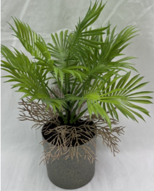 PLANTA NW-SP37 (144/1)