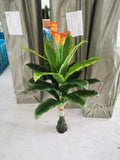 PLANTA CC-AF-40 (36/1)