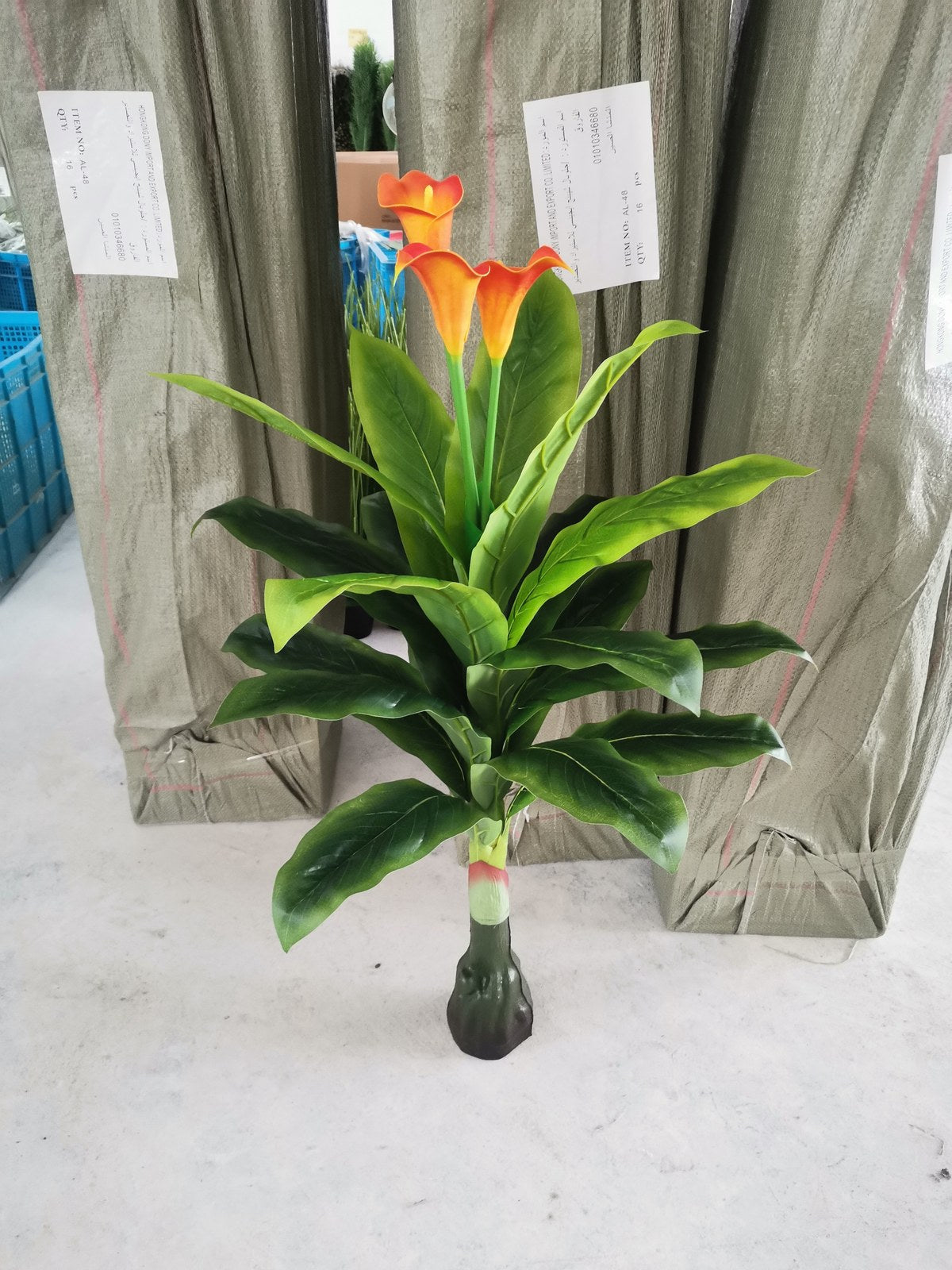 PLANTA CC-AF-40 (36/1)