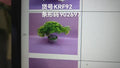 PLANTA KRF92 (144/1)