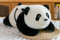 PELUCHE M-DOL39 (120/1)