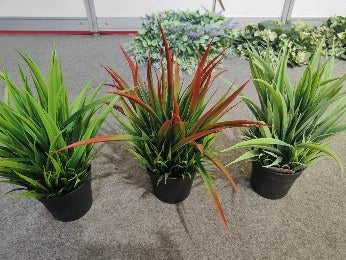 PLANTA DM-40 (96/1)